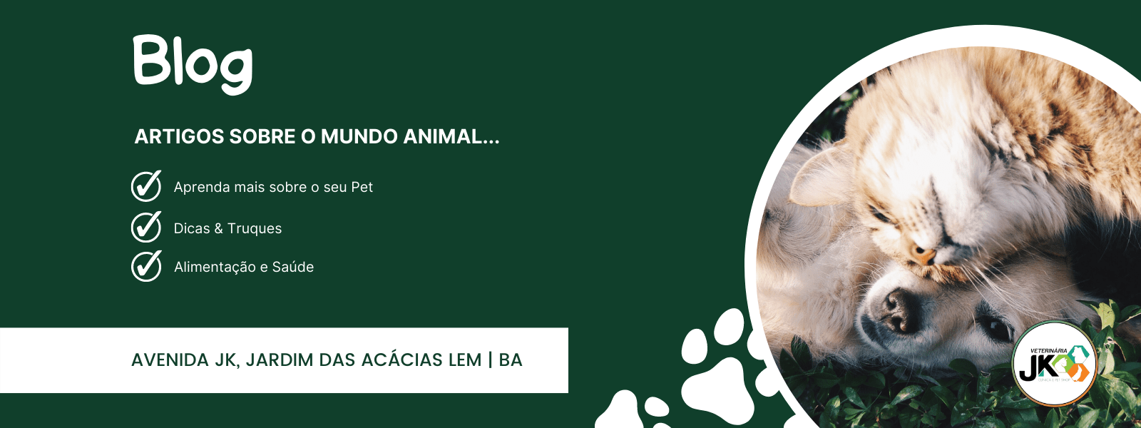 blog veterinária jk