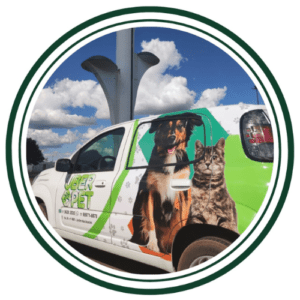 uberpetquadrado